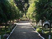 Panchavati Forest Resort